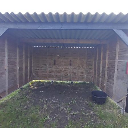 B&B Buiten Gewoon Callantsoog Exterior foto