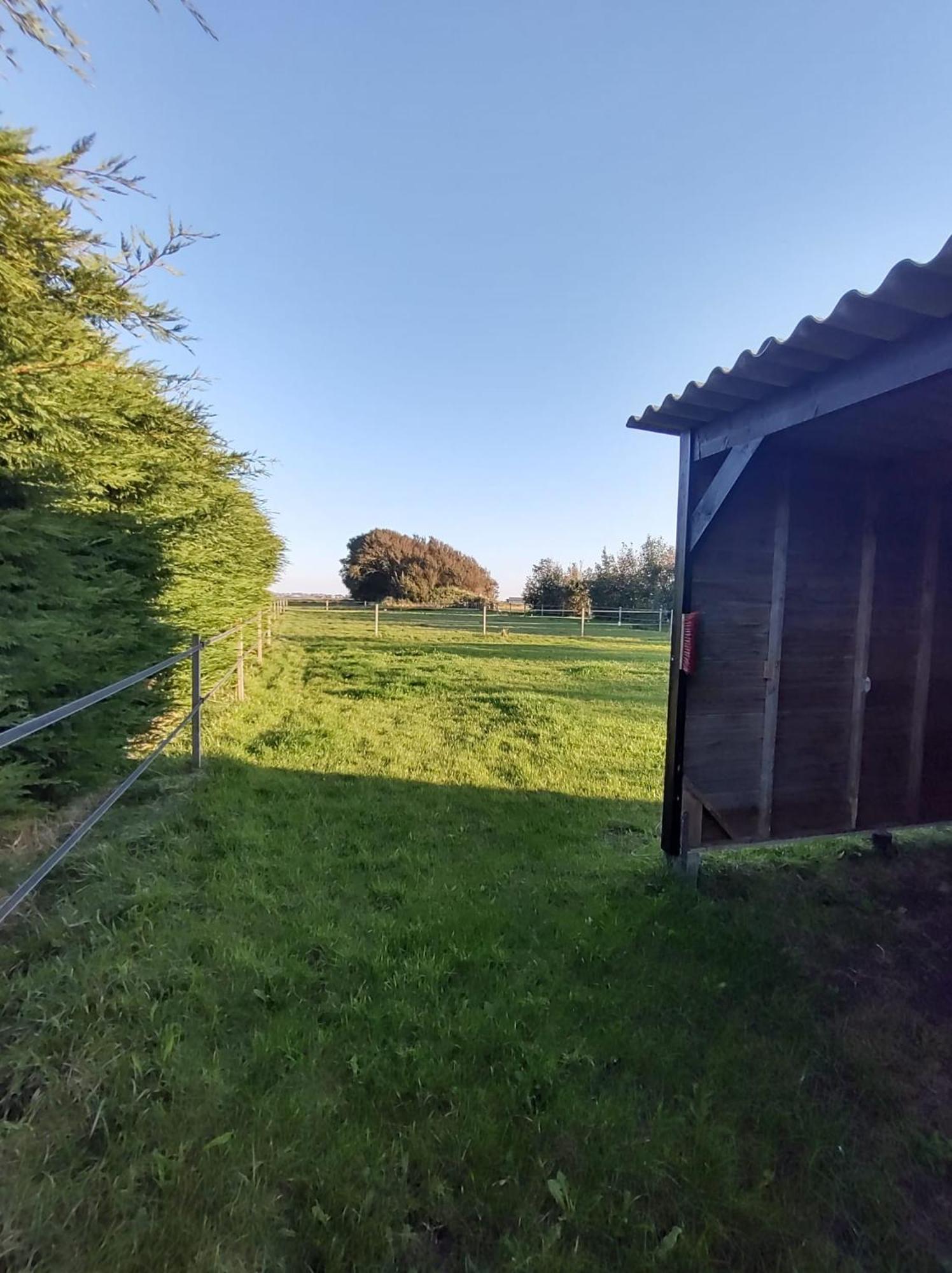 B&B Buiten Gewoon Callantsoog Exterior foto